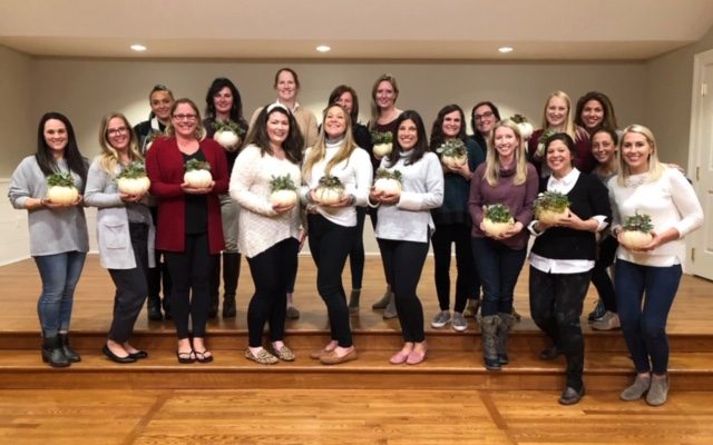 Succulent Pumpkin Workshop